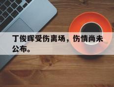 开云网页-丁俊晖受伤离场，伤情尚未公布。