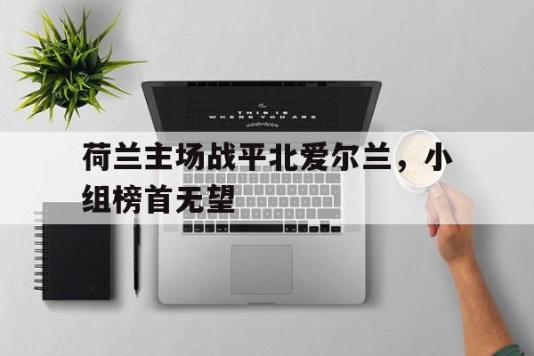 开云登录入口-荷兰主场战平北爱尔兰，小组榜首无望